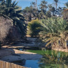 Riad R.