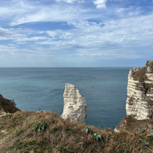 Eleonora S.