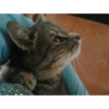 avatar Chloe M.<