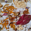 Emilie L.