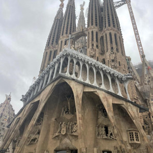 Benard N. (Perrache nettoyage)