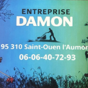 Brandon T. (Entreprise, Damon)