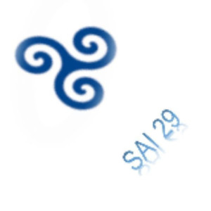 Emmanuel D. (SAI29)