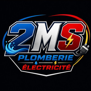 SAS 2MS