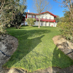 Alexis M. (alexis paysage)