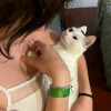 avatar Diane C.<