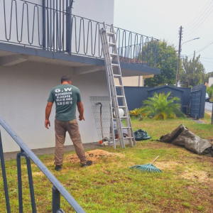 Ent Weiss Georges W.