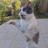 avatar Nolan C.<
