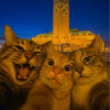 avatar Fati Z.<