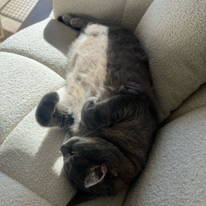 Amelie G.