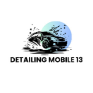 Mehdi T. (Detailing Mobile 13)