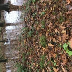 Vince (Equip’habitat)