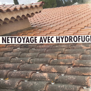 Ivanhoe B. (bogey ivanhoe)