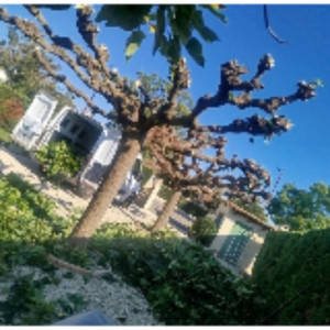 Francois G. (Multi services espace ver...