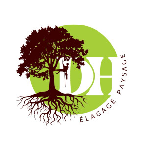 Dylan D. (DH Elagage Paysage)