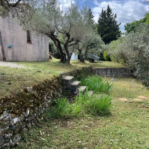 Sasu B. (Belkacem Service Jardinage)