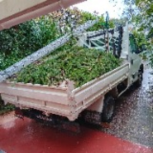 Antoine W. (Antoine élagueur 64)