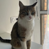avatar Mimi S.<