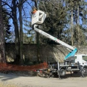 Angelo A. (Entreprise Auffray)