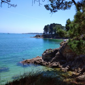 Amandine G.