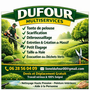 Lionel D. (Dufour Multiservices)
