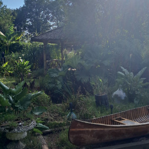 Johan C. (Johan services)