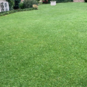 Aurélien D. (Denis Aurélien)