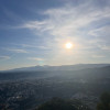 avatar Armanda F.<