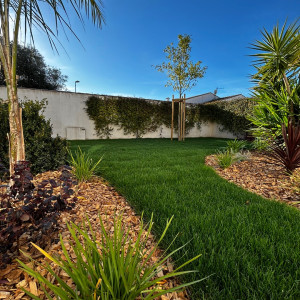 Noe P. (Les jardins de Noé)