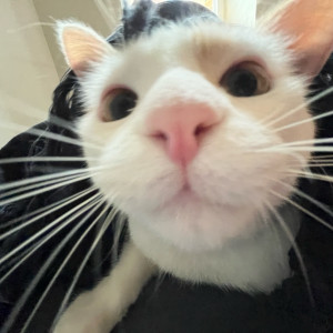 Lilou L.