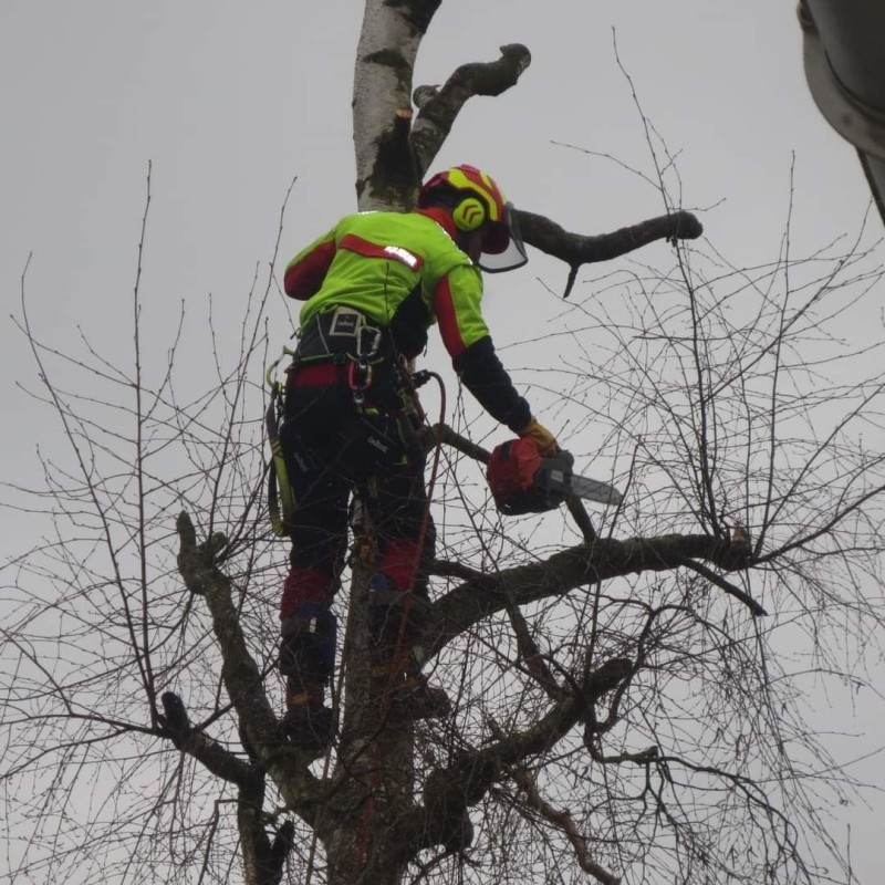 jonathan-brouet-ets-arboriste-paysagiste-arboriste-paysagiste