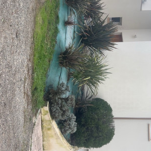 Clément C. (mission espace vert)