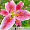 avatar Raveendran S.<