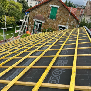 Franzy R. (Franzy Renolde)