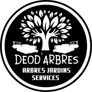 Jonathan C. (Deod'arbres)