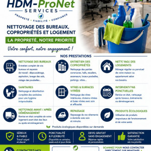 Hademou S. (HDM-Pronet Services)
