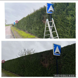 Duvil J. (Duvil elagueure paysajiste)