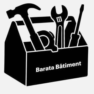 Loic B. (Barata Batiment)