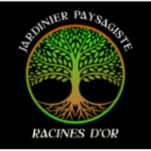 Arnaud P. (racines d'or)