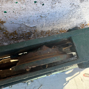 Salima