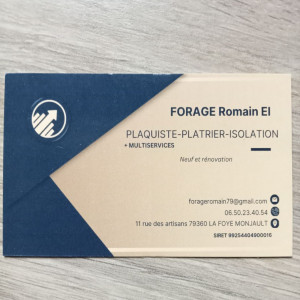 Romain F. (Forage Romain Plaquiste)