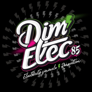 Dimitri S. (Dim’Elec85)