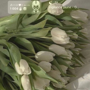 Siham A. (Abdellaoui Siham)