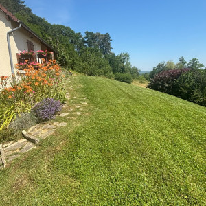 Mickael H. (MH multiservices)