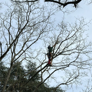 Passion Arbres & Jardins