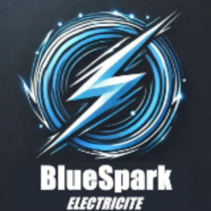 Anthony L. (BlueSpark Electricité)
