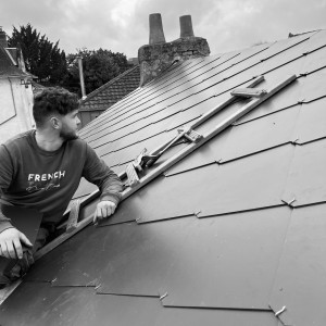 Alex P. (AP Multi Services)