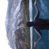 Ines