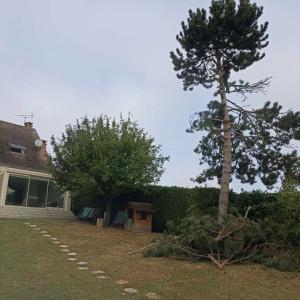 Courroux L. (L&J services)