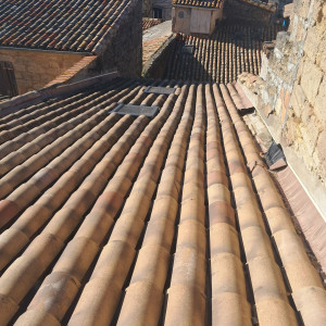 Leonardo D. (Dass renov)